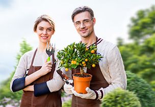 Проект «под ключ» где можно заказать по низкой цене  в Пензе
