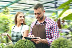 Дендроплан - верное планирование территории и решения этой задачи на уровне  в Пензе