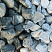 Kamenclub.ru: Щебень галтованный зеленый (змеевик) фр. 50-100 мм.  купить в Пензе галтовка мраморная зеленый, салатовый мрамор 12 500 руб/т   фото КАМЕНЬ КЛУБ