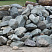 Kamenclub.ru: Гранит скальник (серо-зеленый) фр. 100-500 мм.  купить в Пензе гранит зеленый, серый, салатовый крупный ландшафтный валун 6 000 руб/т   фото КАМЕНЬ КЛУБ
