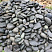 Kamenclub.ru: Темно-серый валунчик фр.100-300 мм.  купить в Пензе крупный природный камень серый, темно-серый, светло-серый речная галька большого размера окатанная 4500 руб/т   фото КАМЕНЬ КЛУБ