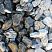 Kamenclub.ru: Щебень галтованный черный (мрамор) фр. 50-100 мм.  купить в Пензе мрамор черный с белыми прожилками щебень ландшафтный мраморный 15000 руб/т   фото КАМЕНЬ КЛУБ