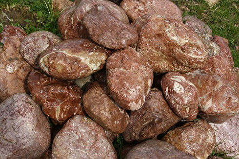 Kamenclub.ru: Розовый валунчик фр.100-300 мм.  купить в Пензе крупный природный камень розовый, серый молочный красный речной галечник природный 7850 руб/т   фото КАМЕНЬ КЛУБ