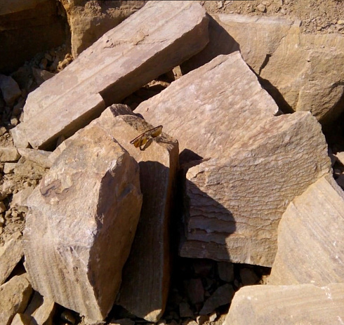 Kamenclub.ru: Песчаник пластушка желтый с рисунком (7-15 см)  купить в Пензе плитняк - пластушка - бут желтый песчаник 10200 руб/м3   фото КАМЕНЬ КЛУБ