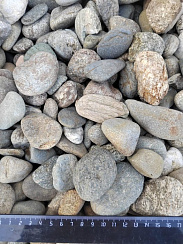 Kamenclub.ru: Галька речная окат (пестрая) фр. 20-40 мм. купить  в Пензе галька речная пестрая, серая, серые оттенки галька речная окатанная округлая 5000 руб/т   фото КАМЕНЬ КЛУБ