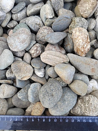 Kamenclub.ru: Галька речная окат (пестрая) фр. 20-40 мм. купить  в Пензе галька речная пестрая, серая, серые оттенки галька речная окатанная округлая 5000 руб/т   фото КАМЕНЬ КЛУБ