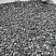 Kamenclub.ru: Щебень крошка черный (мрамор) фр. 10-20 мм.  купить в Пензе мрамор черный с белыми прожилками, черный, белый каменная ландшафтная декоративная крошка щебня 11000 руб/т   фото КАМЕНЬ КЛУБ