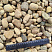 Kamenclub.ru: Галька речная окат рыжая фр. 20-40 мм. купить  в Пензе галька речная окатанная рыжая желтая серая округлая речная галька 5000 руб/т   фото КАМЕНЬ КЛУБ