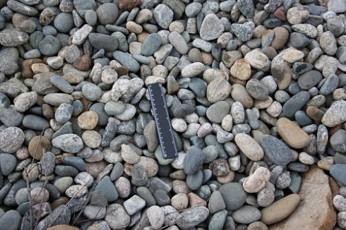 Kamenclub.ru: Галька речная окат (пестрая) фр. 20-40 мм. купить  в Пензе галька речная пестрая, серая, серые оттенки галька речная окатанная округлая 5000 руб/т   фото КАМЕНЬ КЛУБ