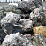 Kamenclub.ru: Черный гранит - кварцит фр. 100-500 мм.  купить в Пензе мрамор гранит черный с белыми прожилками, серый, белый валун скальный колотый 7000 руб/т   фото КАМЕНЬ КЛУБ