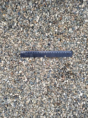 Kamenclub.ru: Галька речная окат (серая) фр.5-10 мм купить  в Пензе галька речная серая, серый, темно-серый, светло-серый, коричневый речная окатанная галька декоративная ландшатфная 5000 руб/т   фото КАМЕНЬ КЛУБ