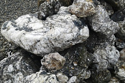 Kamenclub.ru: Черный гранит - кварцит фр. 100-500 мм.  купить в Пензе мрамор гранит черный с белыми прожилками, серый, белый валун скальный колотый 7000 руб/т   фото КАМЕНЬ КЛУБ