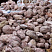 Kamenclub.ru: Розовый валунчик фр.100-300 мм.  купить в Пензе крупный природный камень розовый, серый молочный красный речной галечник природный 7850 руб/т   фото КАМЕНЬ КЛУБ