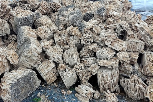 Kamenclub.ru: Крымский природный меотис фр. 100-500 мм.  купить в Пензе меотис бежевый рыжий молочный желтый ракушечник 4 500 руб/т   фото КАМЕНЬ КЛУБ