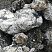 Kamenclub.ru: Черный гранит - кварцит фр. 100-500 мм.  купить в Пензе мрамор гранит черный с белыми прожилками, серый, белый валун скальный колотый 7000 руб/т   фото КАМЕНЬ КЛУБ