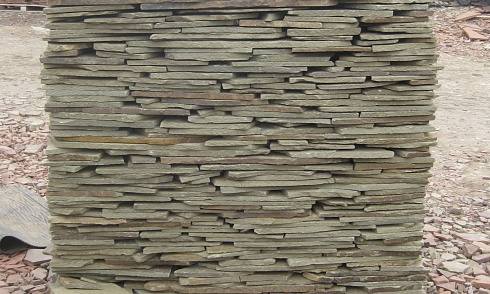 Пластушка серо-зеленая