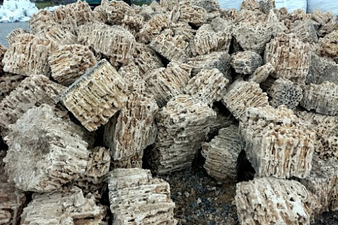 Kamenclub.ru: Крымский природный меотис фр. 100-500 мм.  купить в Пензе меотис бежевый рыжий молочный желтый ракушечник 4 500 руб/т   фото КАМЕНЬ КЛУБ