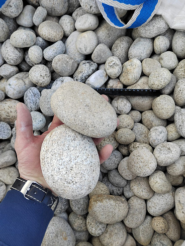 Kamenclub.ru: Галька речная окат (серо-белая) фр. 70-120 мм купить  в Пензе галька галечник бело-серая, серо-белая, серая, белая речная природная галька  8000 руб/т   фото КАМЕНЬ КЛУБ