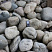 Kamenclub.ru: Темно-серый валунчик фр.100-300 мм.  купить в Пензе крупный природный камень серый, темно-серый, светло-серый речная галька большого размера окатанная 4500 руб/т   фото КАМЕНЬ КЛУБ