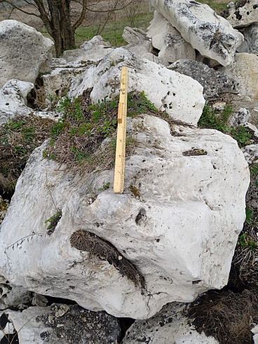 Kamenclub.ru: Выветренный известняк (степной) фр. 500-1500 мм.  купить в Пензе    10000 руб/т   фото КАМЕНЬ КЛУБ