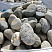 Kamenclub.ru: Речной валун (Ассорти) фр.100-300 мм.  купить в Пензе галечник серый, темно-серый, светло-серый речная галька крупных размеров 4200 руб/т   фото КАМЕНЬ КЛУБ