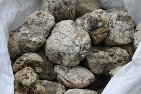 Kamenclub.ru: Кварцевый валунчик фр.100-300 мм.  купить в Пензе кварц белый, бежевый молочный рыжий крупный природный камень галечник 7850 руб/т   фото КАМЕНЬ КЛУБ