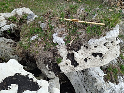 Kamenclub.ru: Выветренный известняк (степной) фр. 500-1500 мм.  купить в Пензе    10000 руб/т   фото КАМЕНЬ КЛУБ