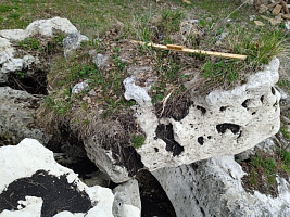 Kamenclub.ru: Выветренный известняк (степной) фр. 500-1500 мм.  купить в Пензе    10000 руб/т   фото КАМЕНЬ КЛУБ