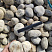 Kamenclub.ru: Галька речная окат (серо-белая) фр. 70-120 мм купить  в Пензе галька галечник бело-серая, серо-белая, серая, белая речная природная галька  8000 руб/т   фото КАМЕНЬ КЛУБ