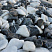 Kamenclub.ru: Мраморная крошка (щебень галтованный микс:: белый-черный) фр.20-40 мм  купить в Пензе мрамор белый, черный мраморный галтованный щебень 15500 руб/т   фото КАМЕНЬ КЛУБ