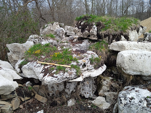 Kamenclub.ru: Выветренный известняк со мхом фр. 100-500 мм.  купить в Пензе известняк серый белый зеленый валун известняковый крупный 10000 руб/т   фото КАМЕНЬ КЛУБ