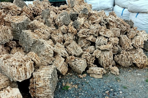 Kamenclub.ru: Крымский природный меотис фр. 100-500 мм.  купить в Пензе меотис бежевый рыжий молочный желтый ракушечник 4 500 руб/т   фото КАМЕНЬ КЛУБ