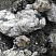 Kamenclub.ru: Черный гранит - кварцит фр. 100-500 мм.  купить в Пензе мрамор гранит черный с белыми прожилками, серый, белый валун скальный колотый 7000 руб/т   фото КАМЕНЬ КЛУБ
