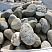 Kamenclub.ru: Речной валун (Ассорти) фр.100-300 мм.  купить в Пензе галечник серый, темно-серый, светло-серый речная галька крупных размеров 4200 руб/т   фото КАМЕНЬ КЛУБ