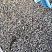 Kamenclub.ru: Галька речная окат (серая) фр.3-5 мм купить  в Пензе галька речная серая бежевый темно-серый окатанный речной камень округлый 9500 руб/т   фото КАМЕНЬ КЛУБ