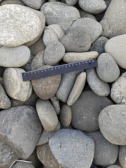 Kamenclub.ru: Галька речная плоская (ассорти) фр. 70-150 мм. купить в Пензе галька галечник серый белый темно-серый синий светло-серый плоская природная галька  9000 руб/т   фото КАМЕНЬ КЛУБ