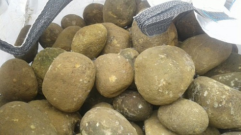 Kamenclub.ru: Песчаник ядра, фр. 100-300 мм  купить в Пензе песчаник бежевый серый рыжий речная галька 5 000 руб/т   фото КАМЕНЬ КЛУБ