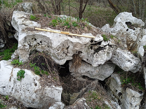 Kamenclub.ru: Выветренный известняк со мхом фр. 100-500 мм.  купить в Пензе известняк серый белый зеленый валун известняковый крупный 10000 руб/т   фото КАМЕНЬ КЛУБ