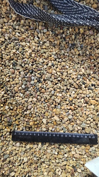 Kamenclub.ru: Галька окат (серо-желтая) фр.5-10 мм. купить  в Пензе галька речная рыжий, желтый, рыжий, серо-желтый речная окатанная галька декоративная 5000 руб/т   фото КАМЕНЬ КЛУБ