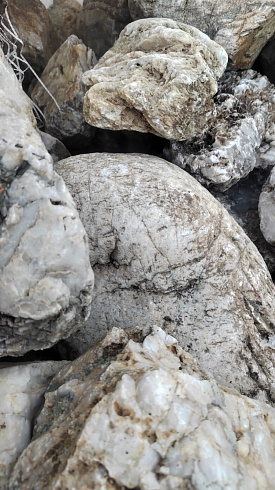 Kamenclub.ru: Кварцевый валунчик фр.100-300 мм.  купить в Пензе кварц белый, бежевый молочный рыжий крупный природный камень галечник 7850 руб/т   фото КАМЕНЬ КЛУБ