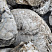 Kamenclub.ru: Кварцевый валунчик фр.100-300 мм.  купить в Пензе кварц белый, бежевый молочный рыжий крупный природный камень галечник 7850 руб/т   фото КАМЕНЬ КЛУБ