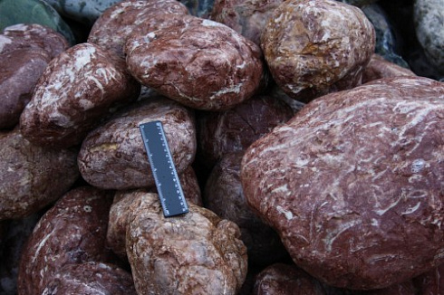 Kamenclub.ru: Розовый валунчик фр.100-300 мм.  купить в Пензе крупный природный камень розовый, серый молочный красный речной галечник природный 7850 руб/т   фото КАМЕНЬ КЛУБ