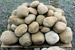 Kamenclub.ru: Песчаник ядра, фр. 100-300 мм  купить в Пензе песчаник бежевый серый рыжий речная галька 5 000 руб/т   фото КАМЕНЬ КЛУБ