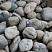 Kamenclub.ru: Речной валун (Ассорти) фр.100-300 мм.  купить в Пензе галечник серый, темно-серый, светло-серый речная галька крупных размеров 4200 руб/т   фото КАМЕНЬ КЛУБ