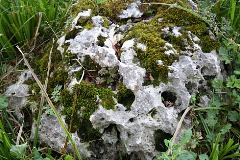 Kamenclub.ru: Выветренный известняк со мхом фр. 100-500 мм.  купить в Пензе известняк серый белый зеленый валун известняковый крупный 10000 руб/т   фото КАМЕНЬ КЛУБ