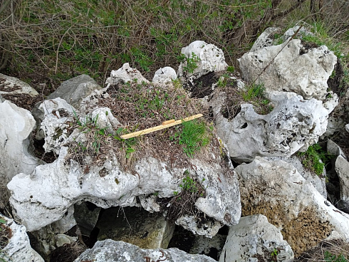 Kamenclub.ru: Выветренный известняк (степной) фр. 500-1500 мм.  купить в Пензе    10000 руб/т   фото КАМЕНЬ КЛУБ