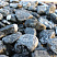 Kamenclub.ru: Щебень галтованный черный (мрамор) фр.20-40 мм.  купить в Пензе мрамор черный с белыми прожилками мрамор окатанный округлый 15000 руб/т   фото КАМЕНЬ КЛУБ