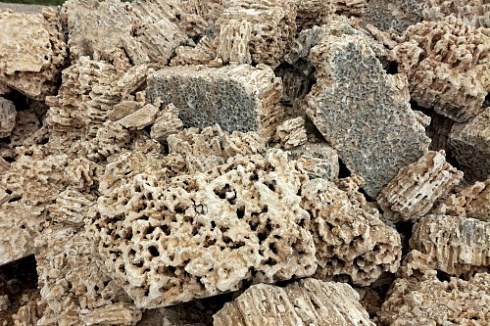 Kamenclub.ru: Крымский природный меотис фр. 100-500 мм.  купить в Пензе меотис бежевый рыжий молочный желтый ракушечник 4 500 руб/т   фото КАМЕНЬ КЛУБ