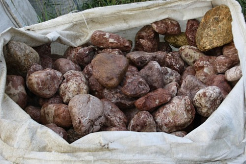 Kamenclub.ru: Розовый валунчик фр.100-300 мм.  купить в Пензе крупный природный камень розовый, серый молочный красный речной галечник природный 7850 руб/т   фото КАМЕНЬ КЛУБ