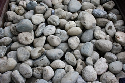 Kamenclub.ru: Речной валун (Ассорти) фр.100-300 мм.  купить в Пензе галечник серый, темно-серый, светло-серый речная галька крупных размеров 4200 руб/т   фото КАМЕНЬ КЛУБ